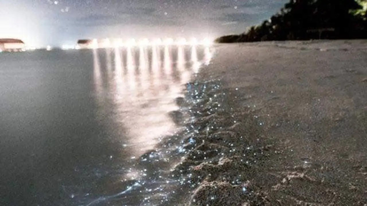 Nayarit ante los ojos del mundo