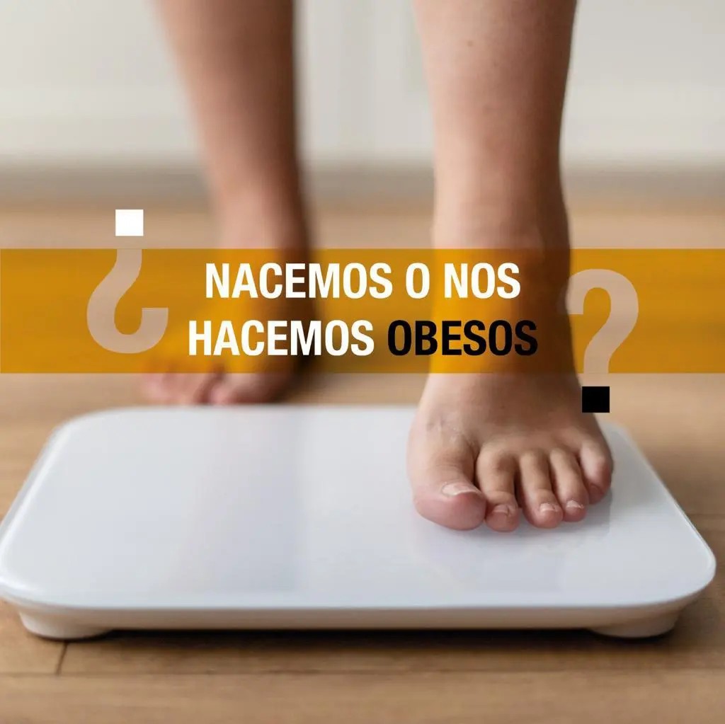 ¿Nacemos o nos hacemos obesos?