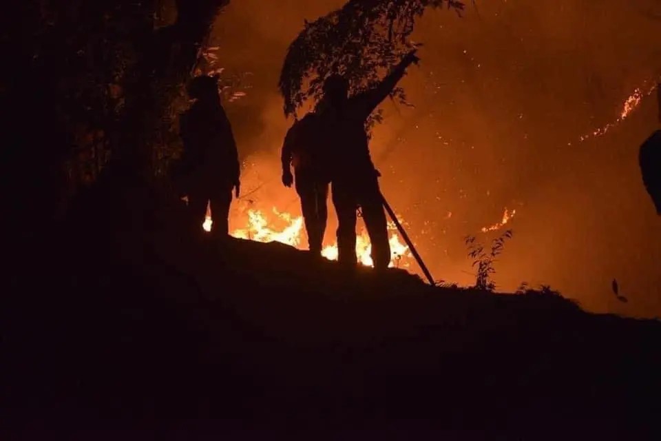 Registran 104 incendios en lo que va del 2023 en Nayarit; 45 mil hectáreas afectadas