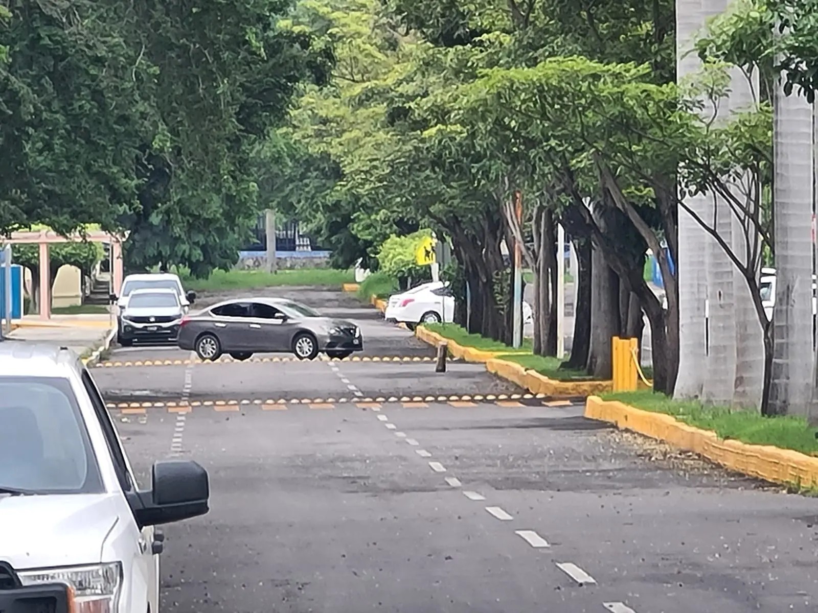 Catean escuelas de la UAN; presunto desfalco por 880 mdp