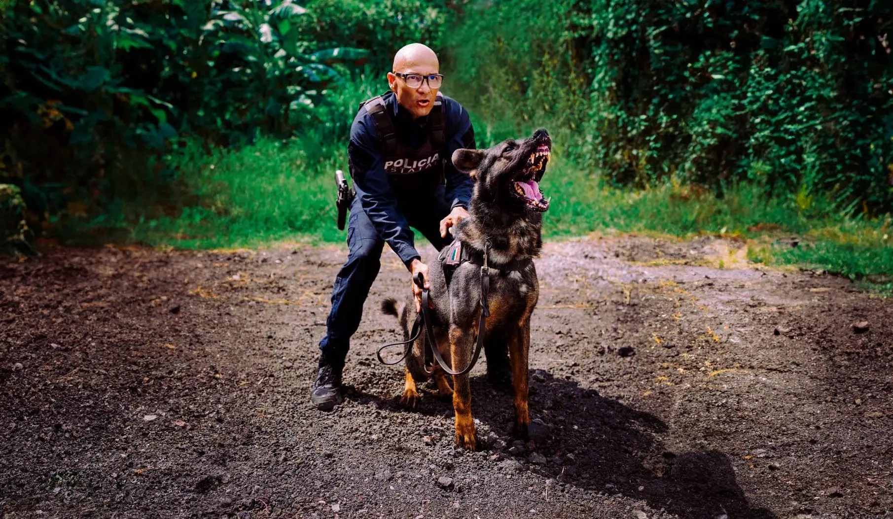 Unidad Canina K9 de la Policía Estatal de Nayarit recibe capacitación en estrategias de seguridad
