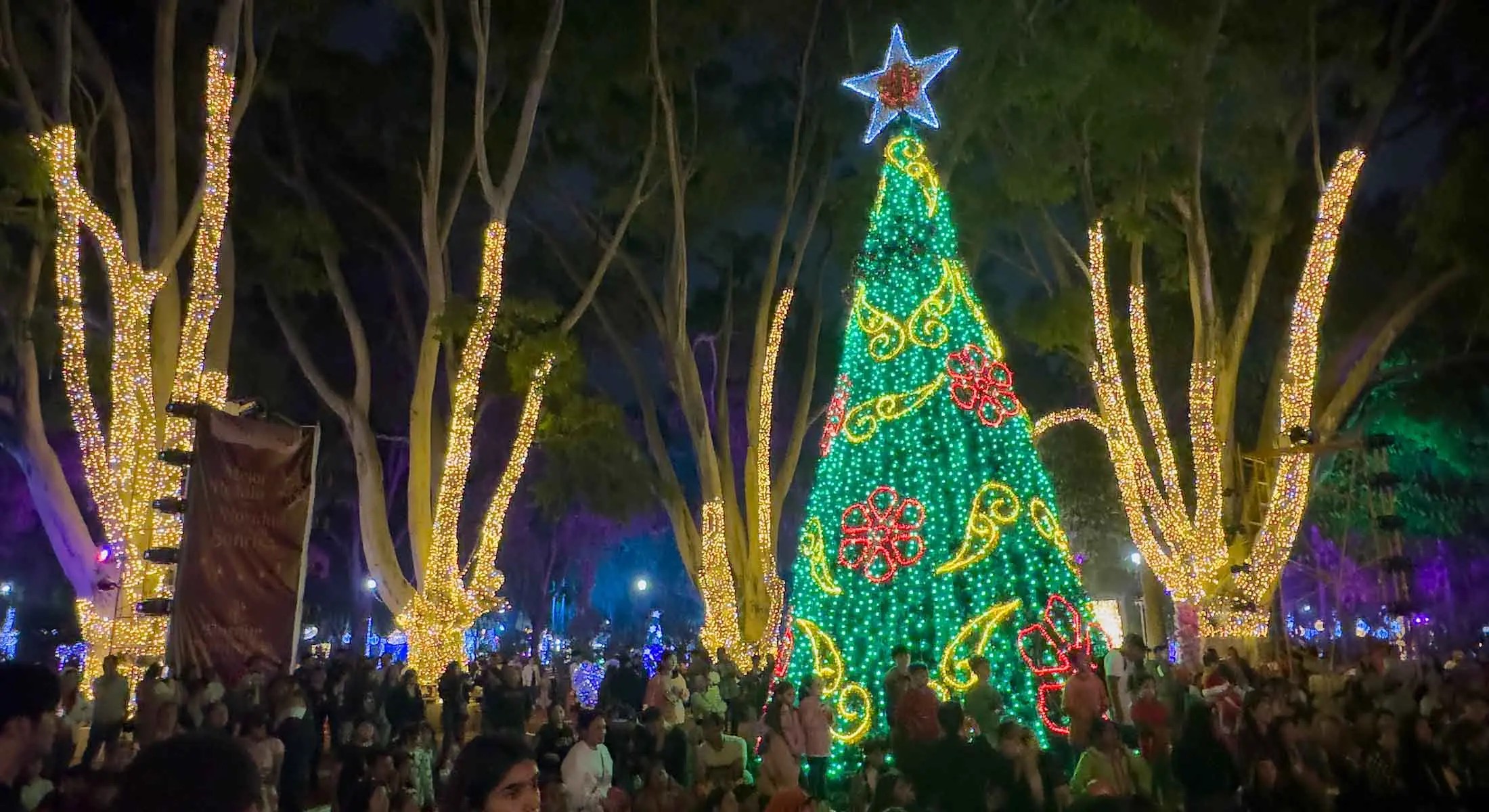 Deja 'Bosque Encantado' derrama económica de 65 mdp