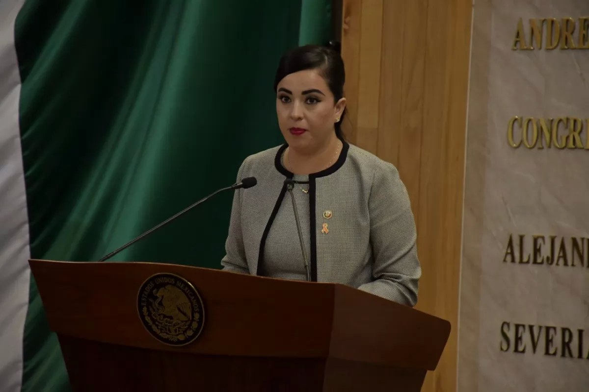 Alcaldes tienen la última palabra sobre paneles solares: Congreso