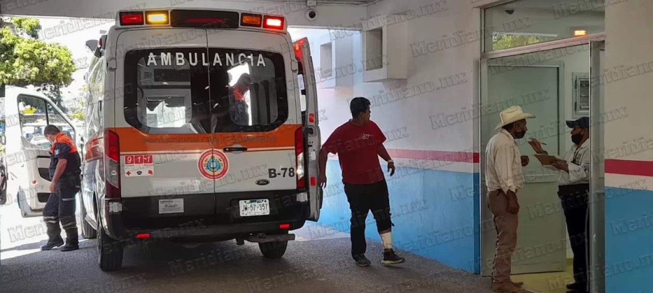 ¡cayó de su techo a la cocina de la vecina!