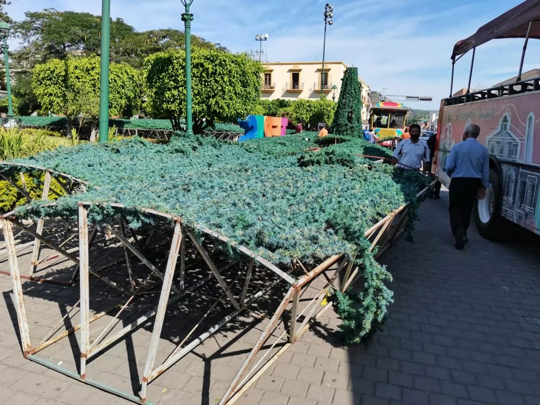 ¡Ya huele a Navidad!: Instalan mega árbol en la Plaza Principal de Tepic