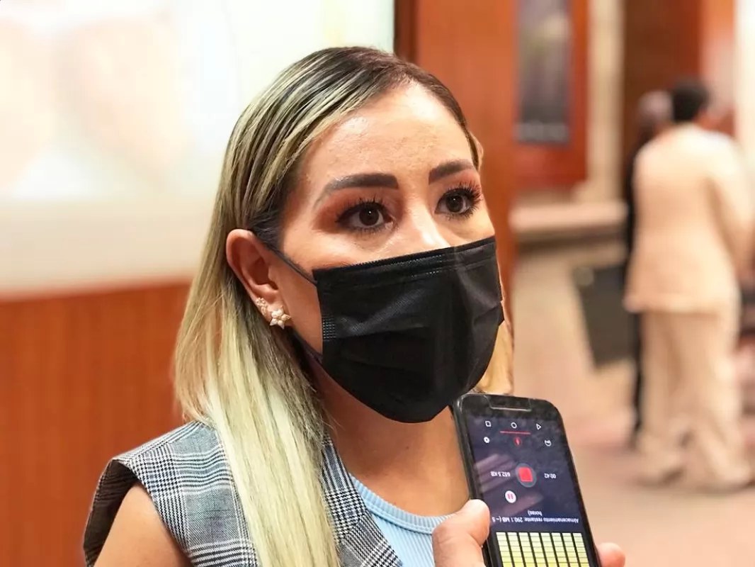 Urge legisladora más recursos para la salud mental