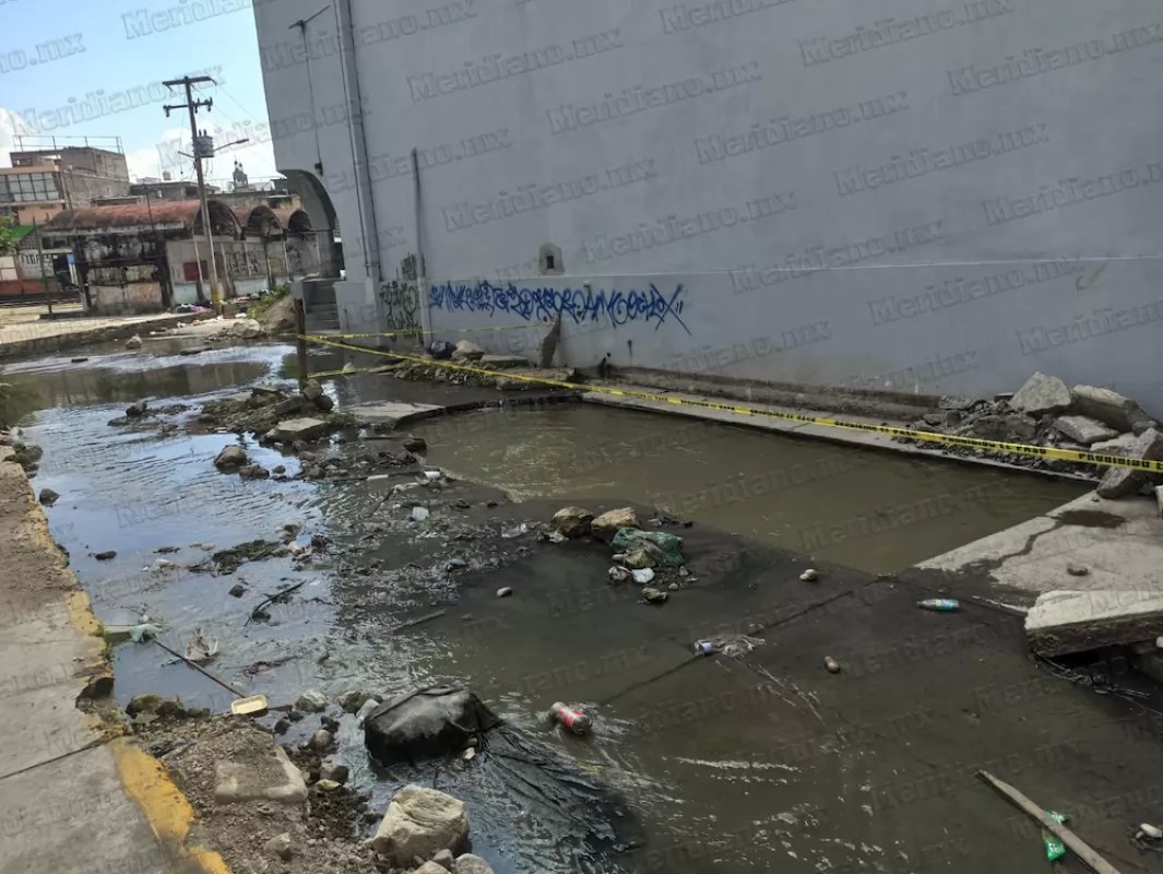 Calles pestilentes opacan la sonrisa de Tepic
