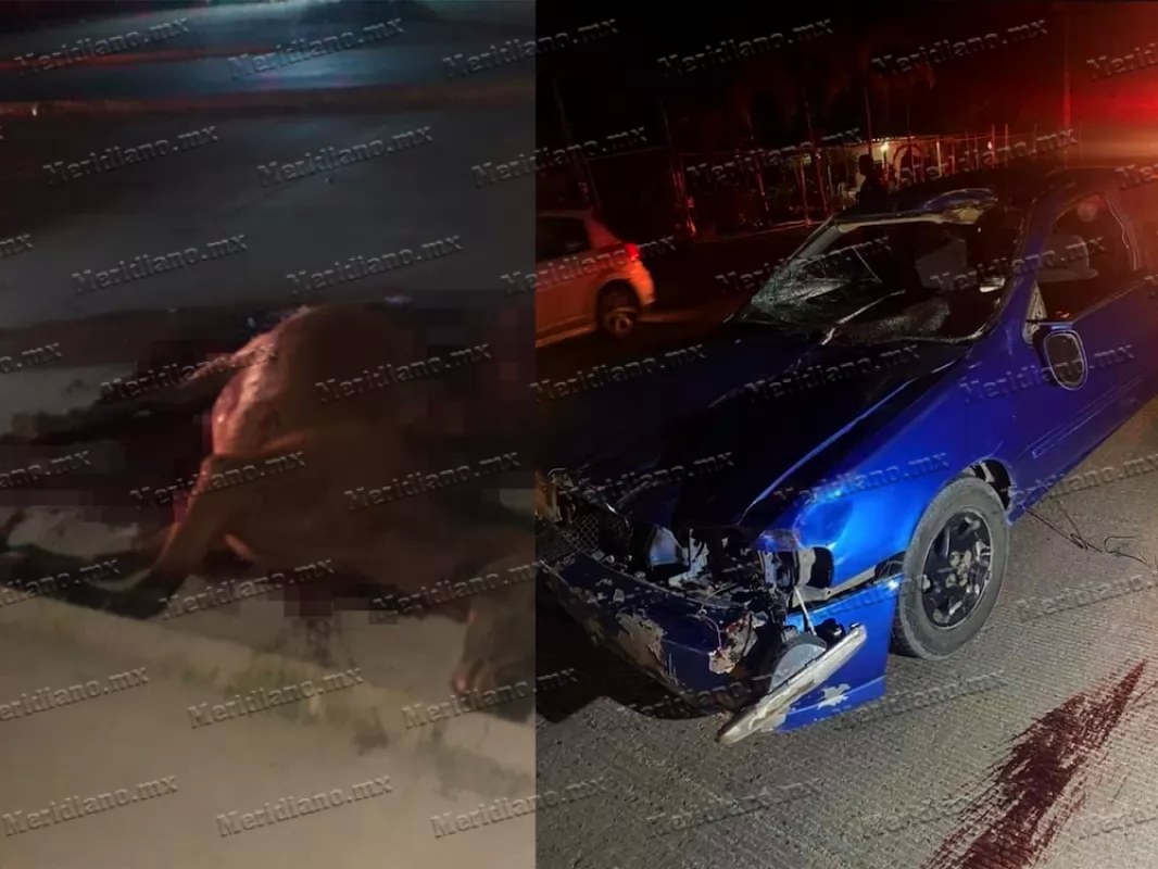 ¡caballazo en la ixtapa-las juntas!