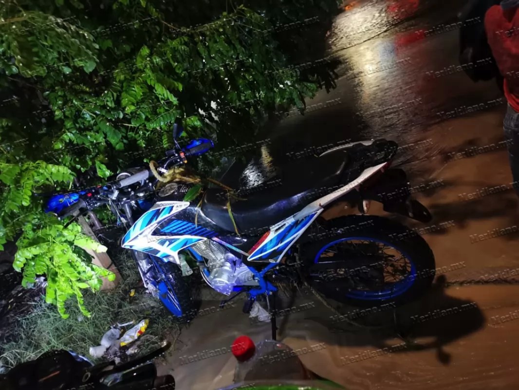 ¡sobrevivió para contarlo!