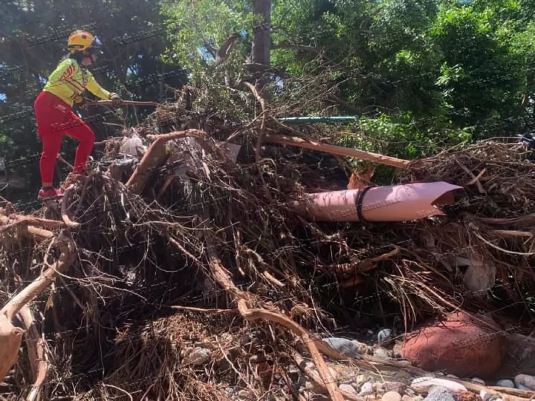 No frena la búsqueda de la joven Luz en Puerto Vallarta