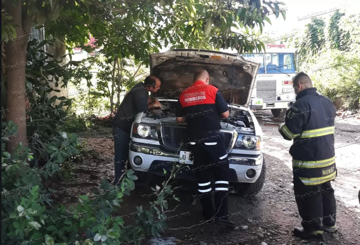 ¡por culpa de una rata por  poco se quema su camioneta!