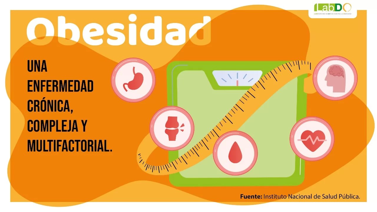 Sustitutos del azúcar, alternativa viable, según expertos
