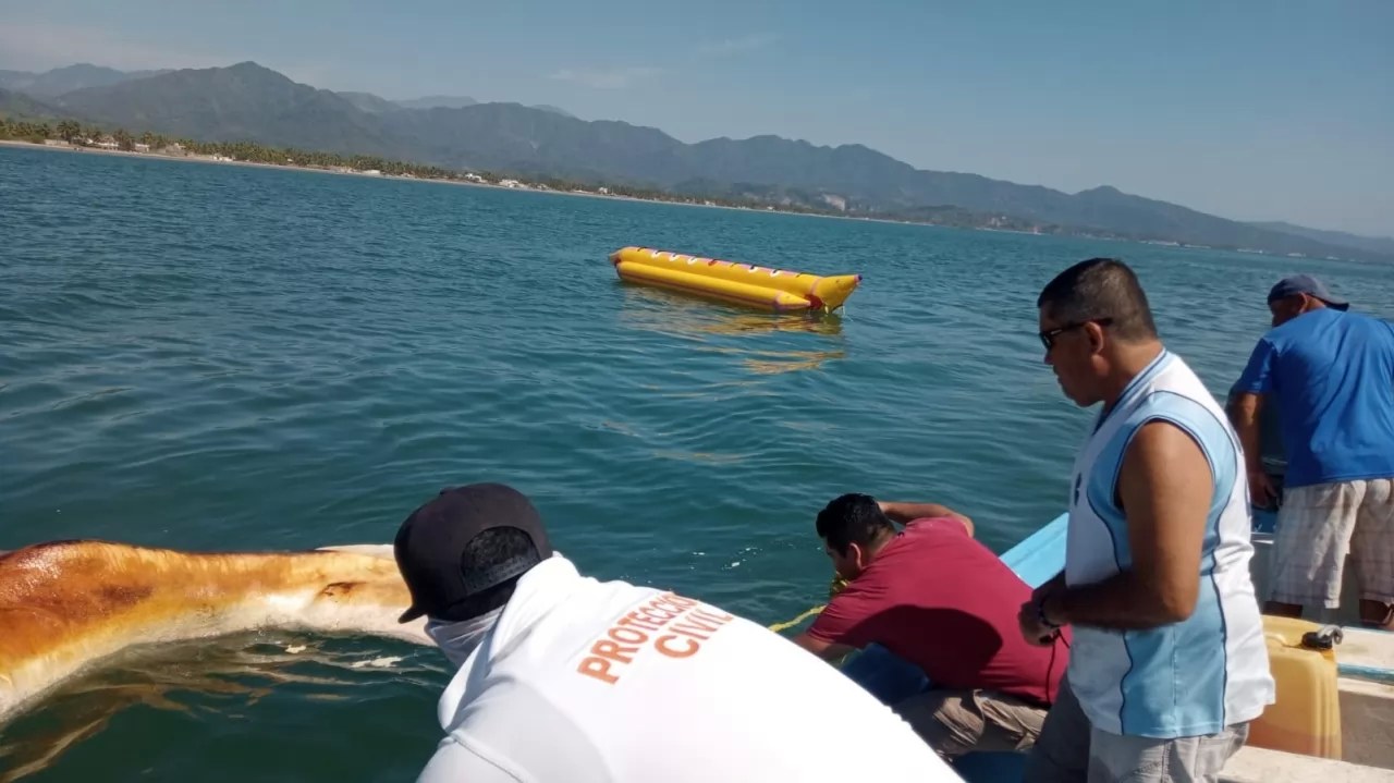 Ballena varada en San Blas