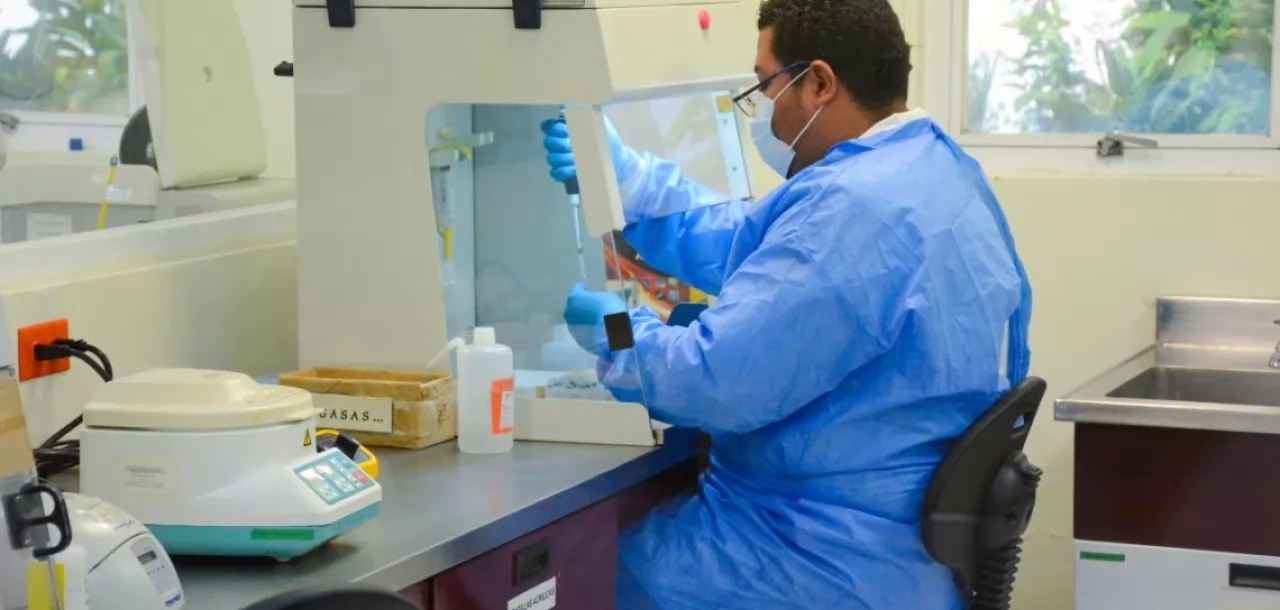 \"Gamma sí, Delta no\": Confirman SSN detección de variantes de COVID