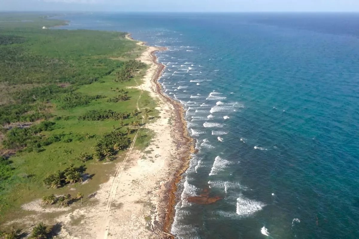 México patria impecable y diamantina