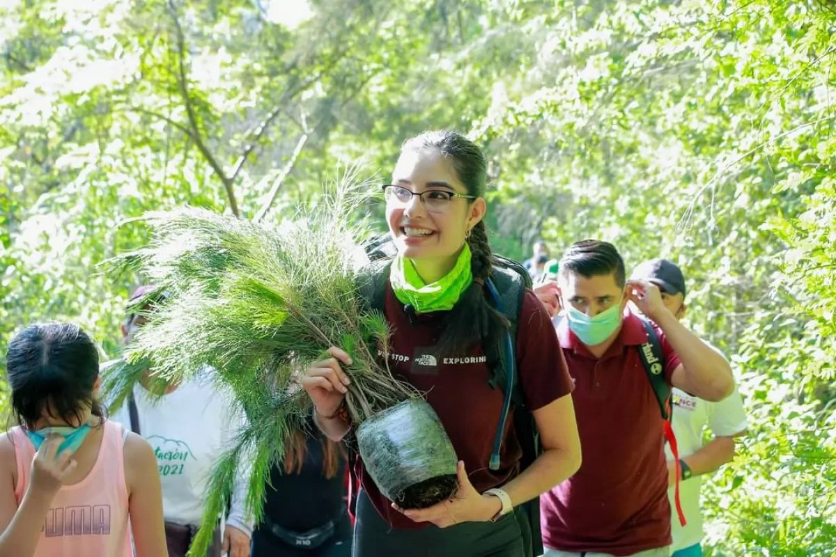 Inicia reforestación del San Juan, van 6 mil 500 pinos plantados