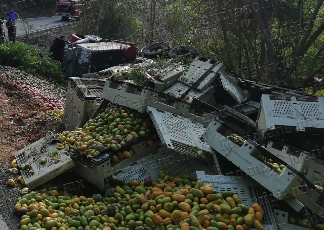 Volcó tráiler cargado de mangos