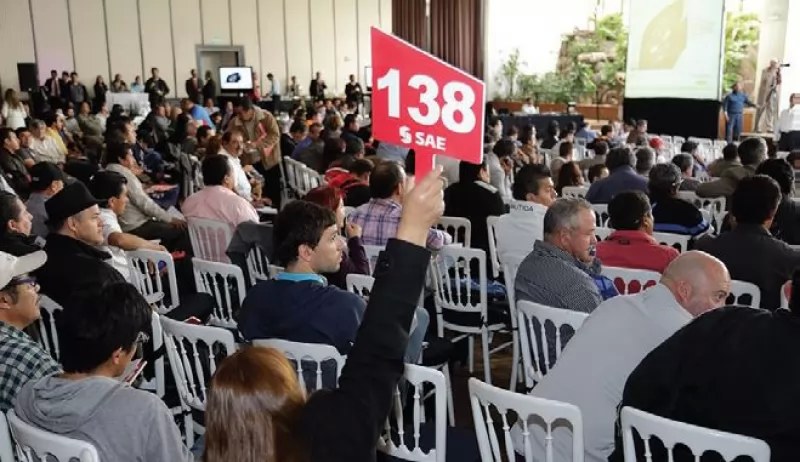 Obtiene INDEP más de 14 mdp con venta de piezas de automóviles e inmuebles