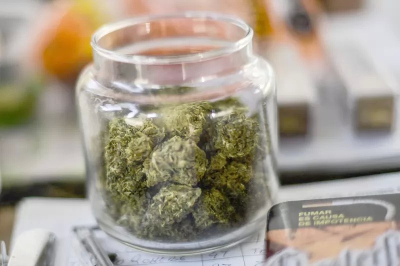 Aprueban despenalizar uso lúdico de la marihuana