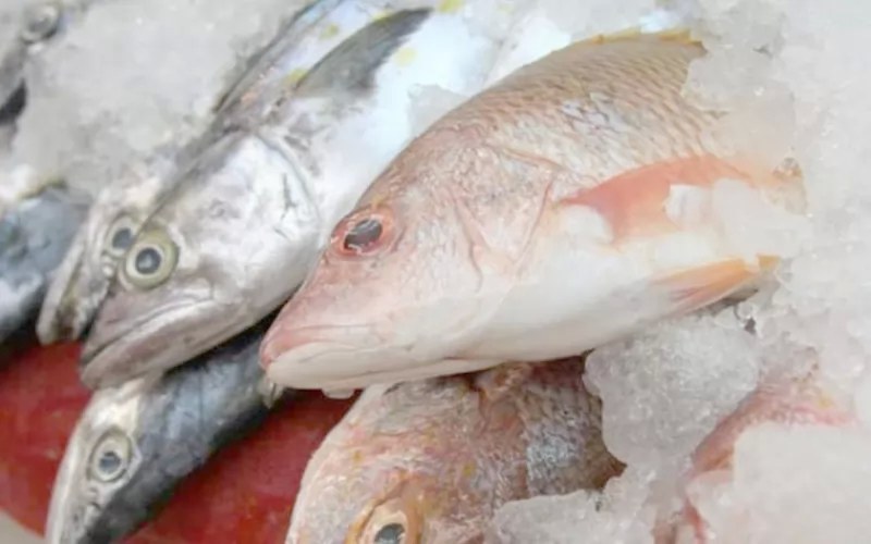 Nayarit, segundo productor de liseta