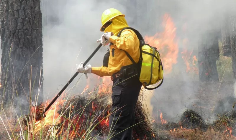 Conafor reporta 106 incendios forestales activos en 21 entidades