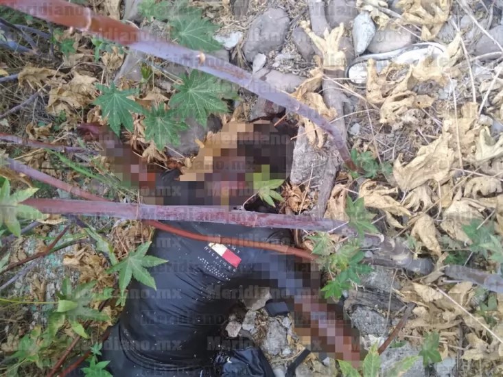 Encuentran cuerpo sin vida en baldío de Xalisco