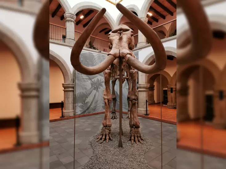 \"El Gigante de la Prehistoria\" dice adiós a Nayarit