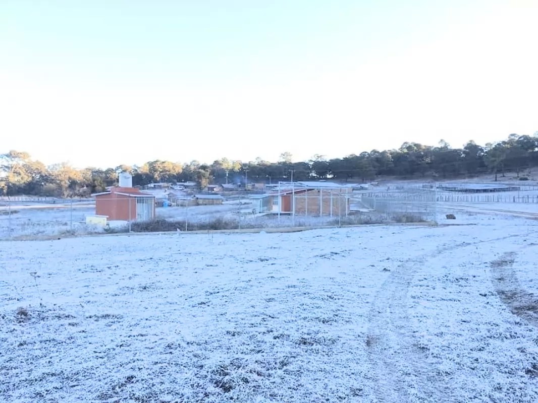 La sierra necesita ayuda inmediata