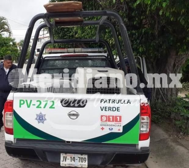 En fraccionamiento cipreses…  ¡perro bravo  atacó a un niño!