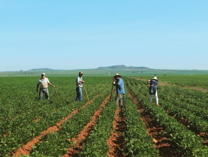 Proponen reducir al 50% el pago de peaje a campesinos que transporte su producción