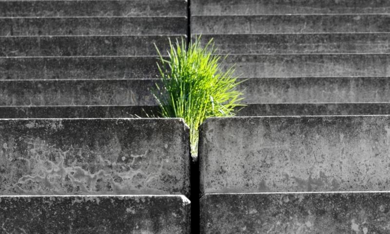 La esperanza sigue muriendo al último