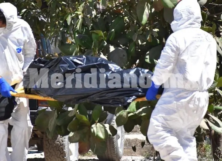 Encuentran cadáver putrefacto en una brecha de Tomatlán