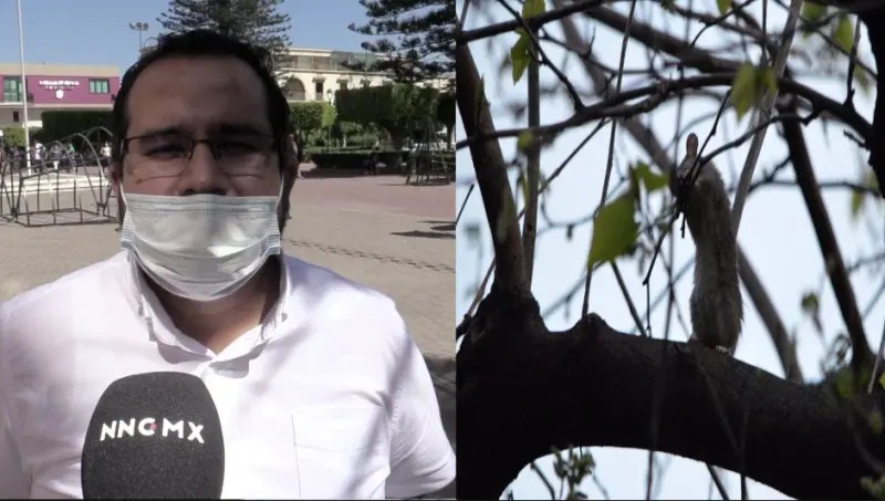 La capital nayarita se mantiene libre de plagas: José Zurita