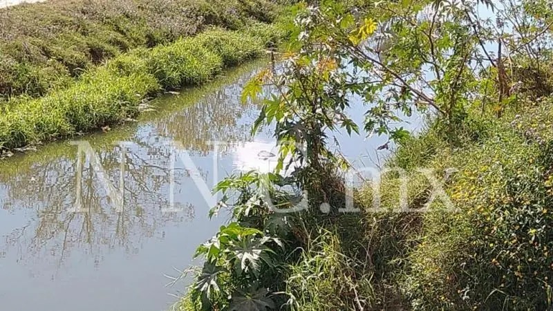 Localiza cuerpo flotando en la colonia Valle de la Cruz